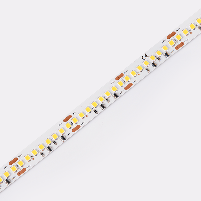 DS8192-24V-12mm